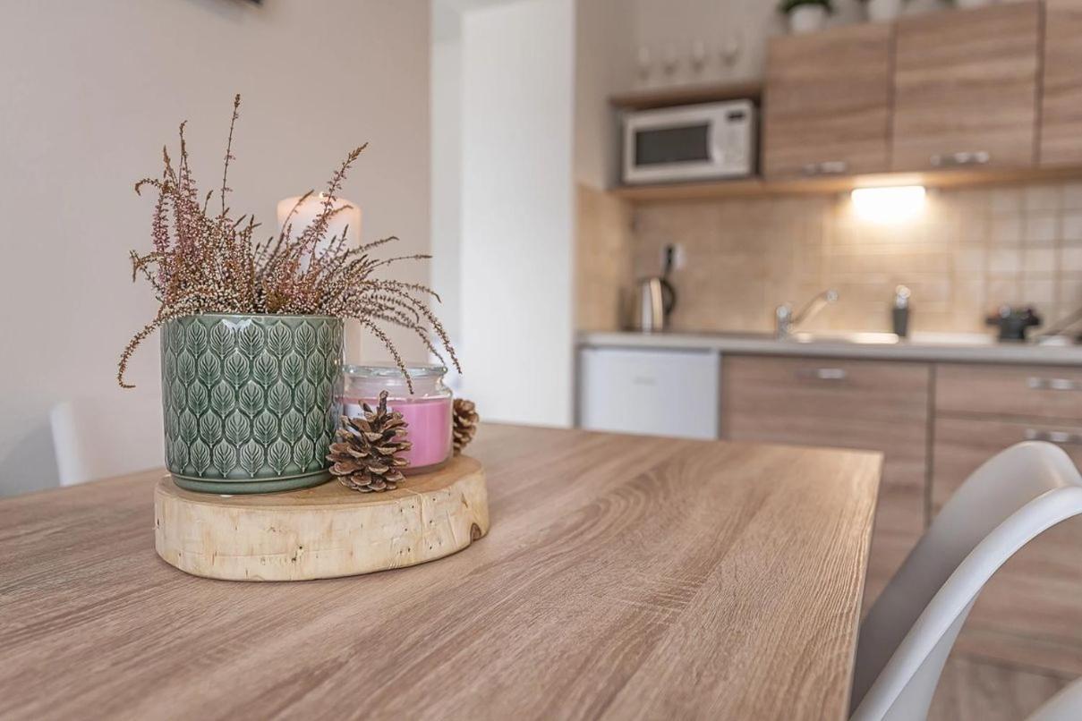 Apartmany Minata Liptovský Mikuláš المظهر الخارجي الصورة